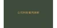 公司纠纷案列剖析